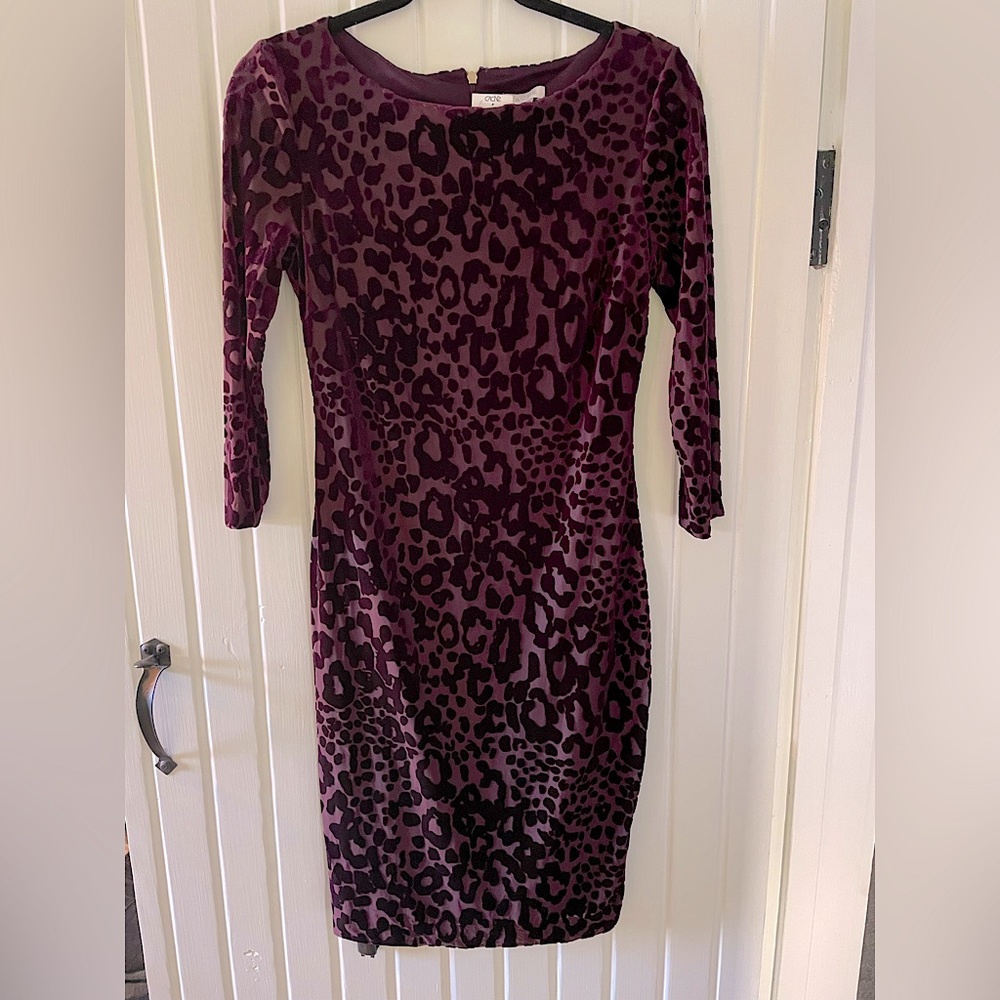 NWT Cache Dress w/Raised Velvet - Size 6 - Back Zipper- Beautiful 💜💜💜